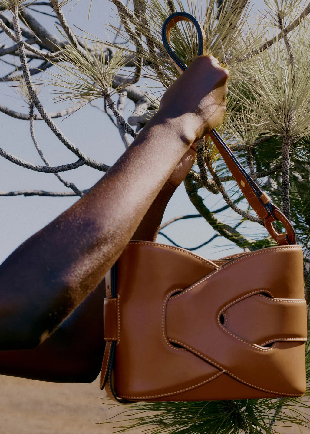 Nodde Edition Smooth Cognac